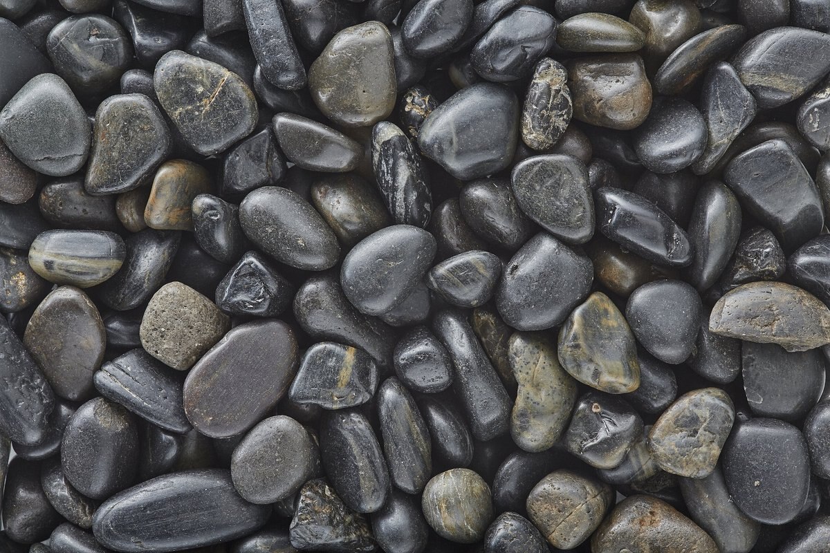 Exotic Pebbles Polished Black Reptile and Terrarium Gravel