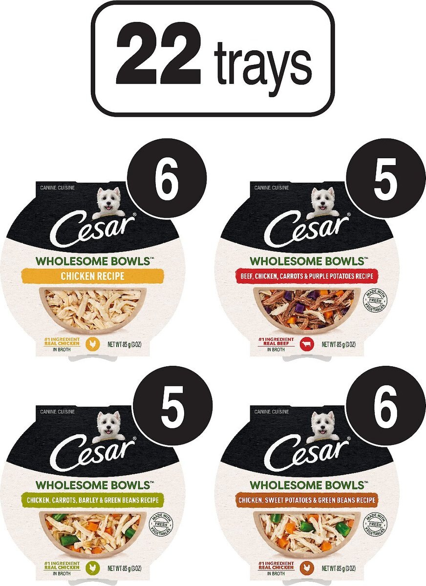 Cesar Wholesome Bowls Soft Wet Adult Dog Food Variety Pack， 3-oz bowl， case of 22