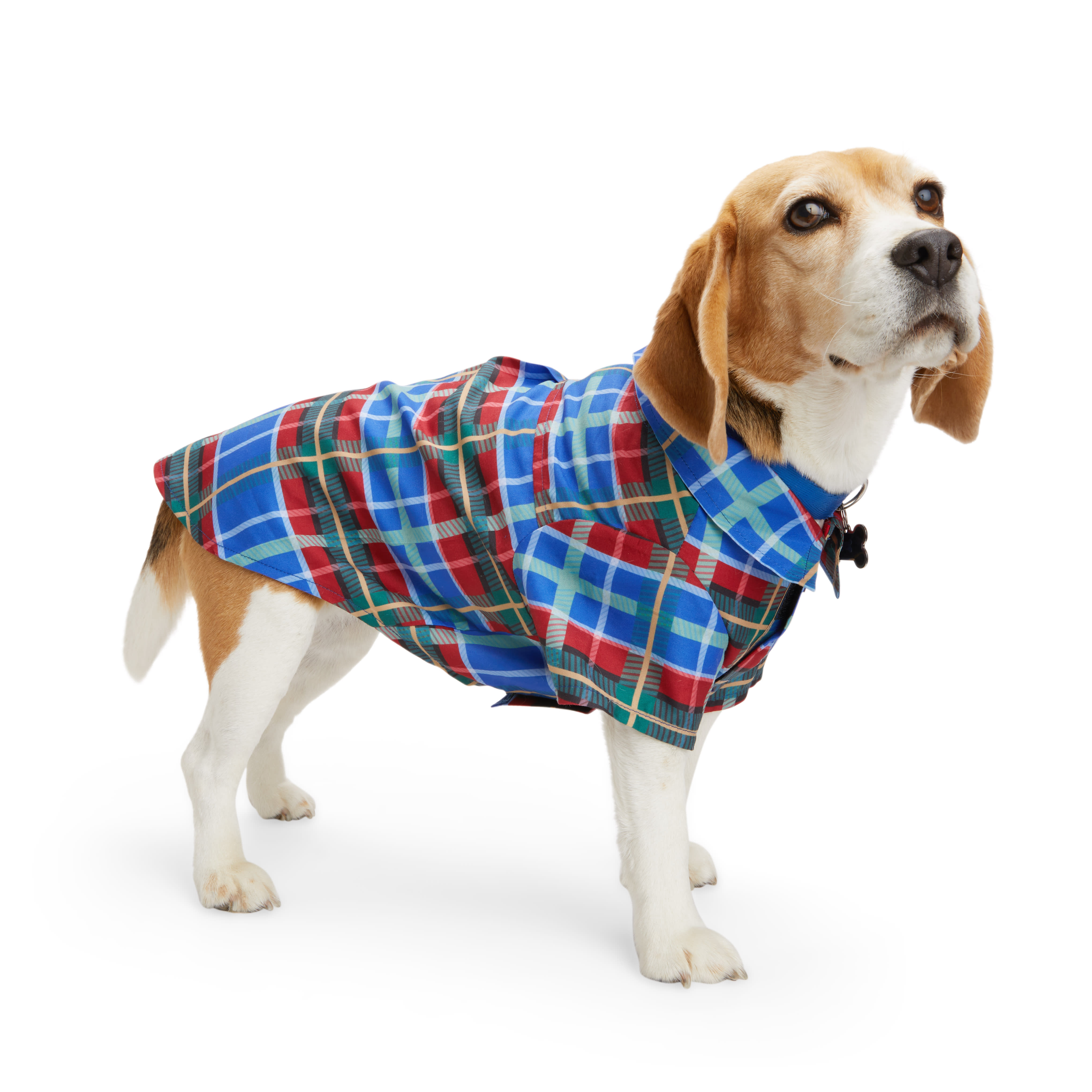 YOULY Blue Plaid Woven Dog Shirt， XX-Small