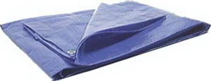 Wilmar PMW6011 Protective Tarp Size 12x16