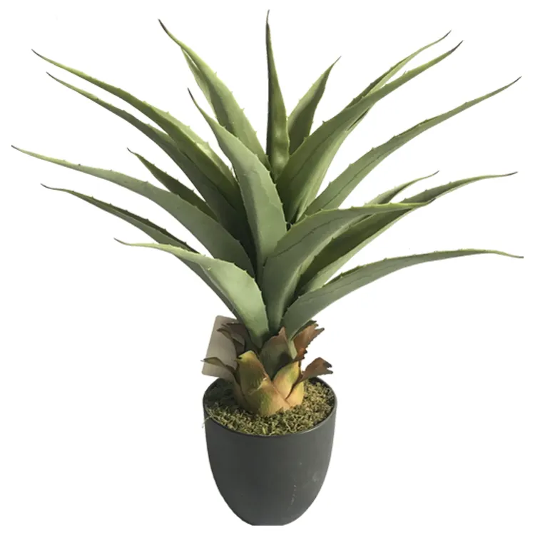 wholesale custom evergreen fake plants agave aloe vera  plant bonsai real touch home decor garden supplies