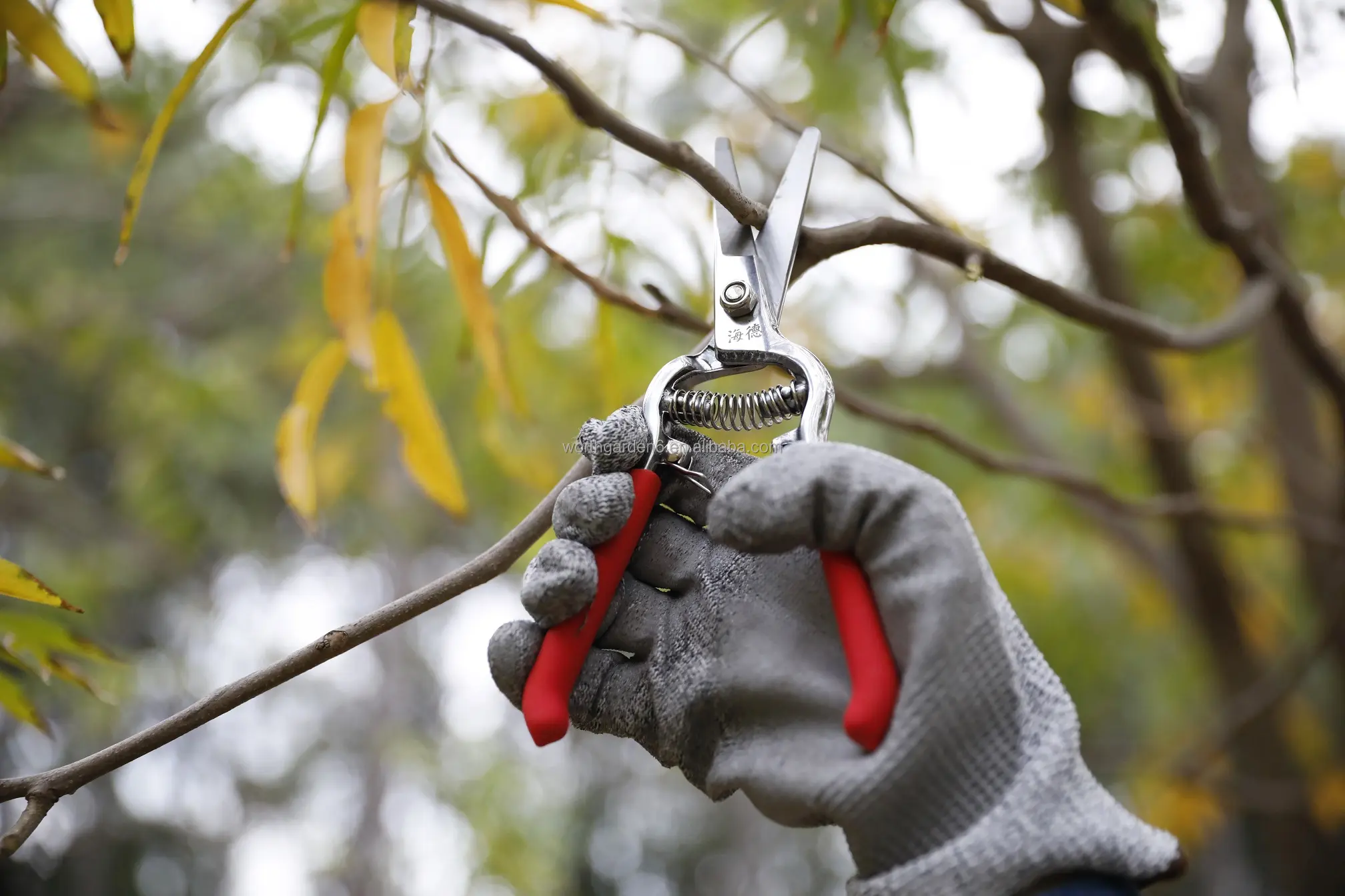 Hot Selling Garden Fruit Cutting Small Branches Leaves shears 8 Inch Forged Grape Pruner Scissor