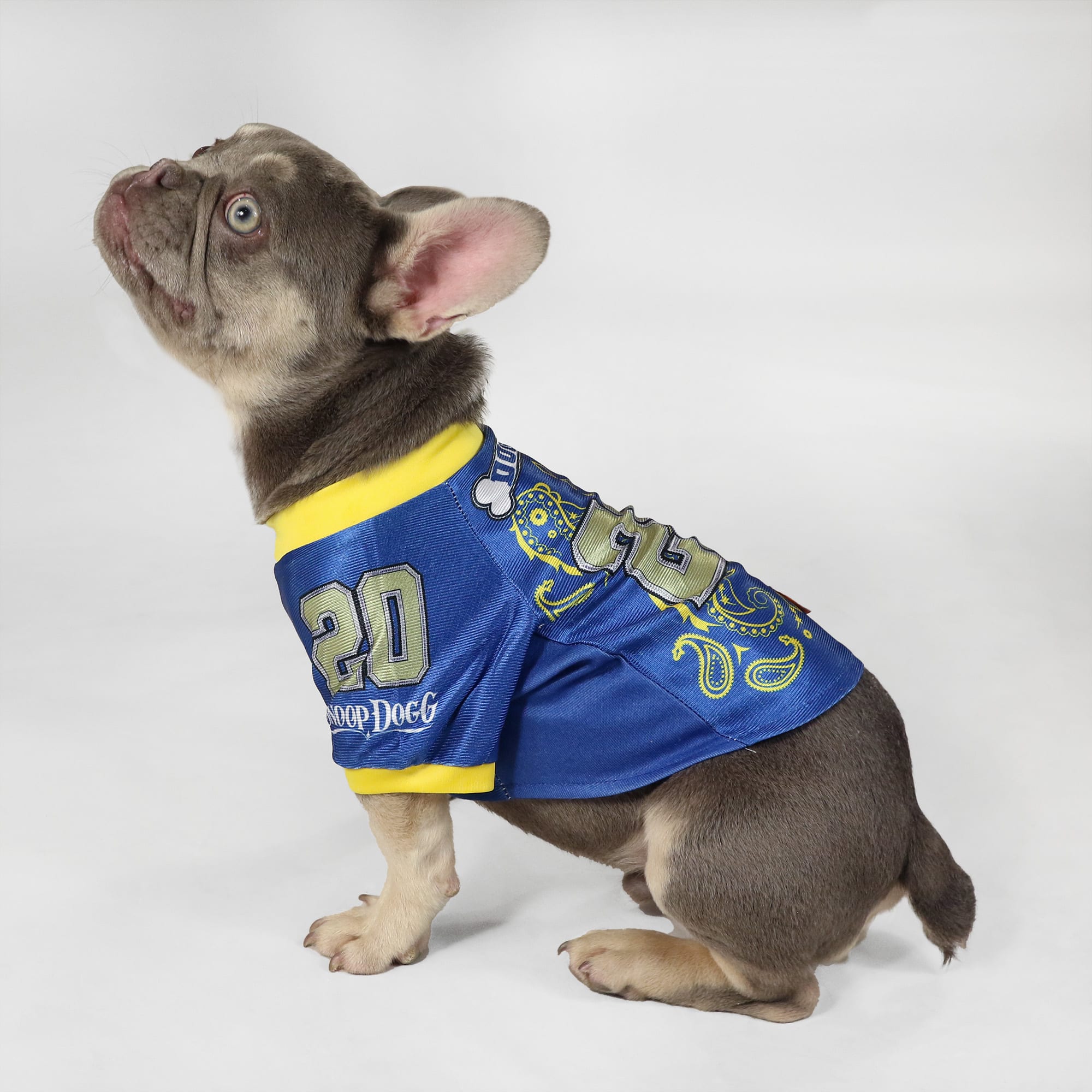 Snoop Doggie Doggs Blue Halftime Deluxe Pet Jersey， X-Small