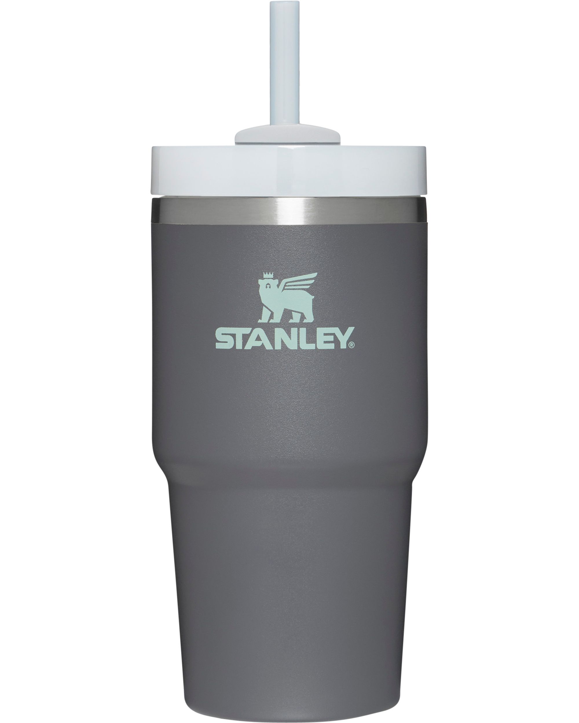 Stanley 20 oz. Quencher H2.0 FlowState Tumbler， Charcoal