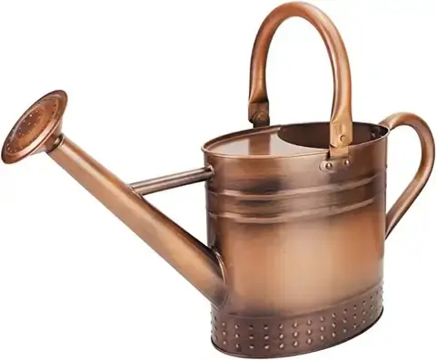 Hot Look Western Design Metal Watering CAN HOT SALE LONG SPOUT WATERING CAN GARDEN WATERING TOOLS WITH SHOWER ROSE