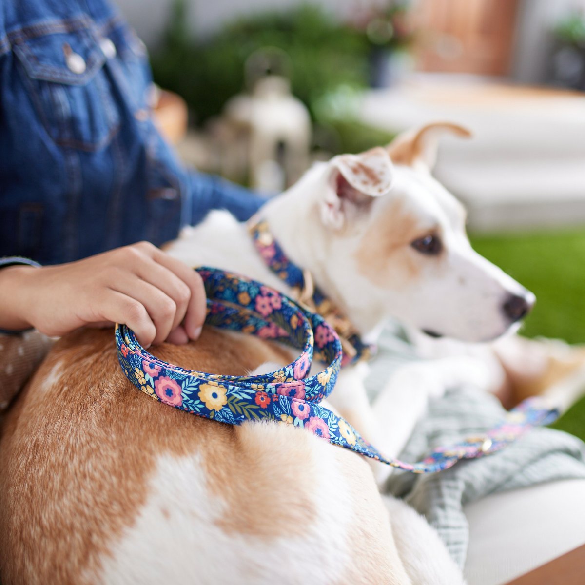 Frisco Fashion Leash， Tropical Floral