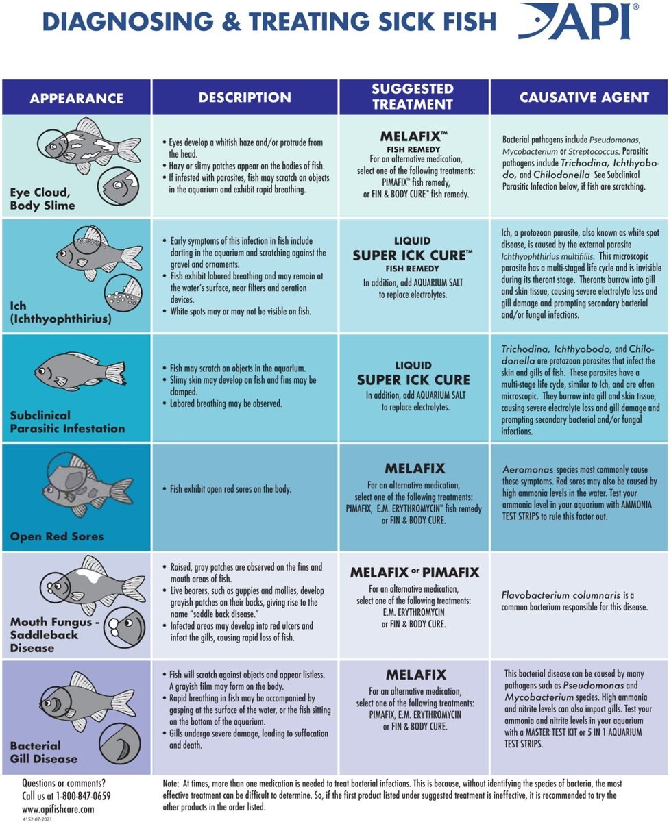 API Bettafix Antibacterial and Antifungal Betta Fish Infection Remedy