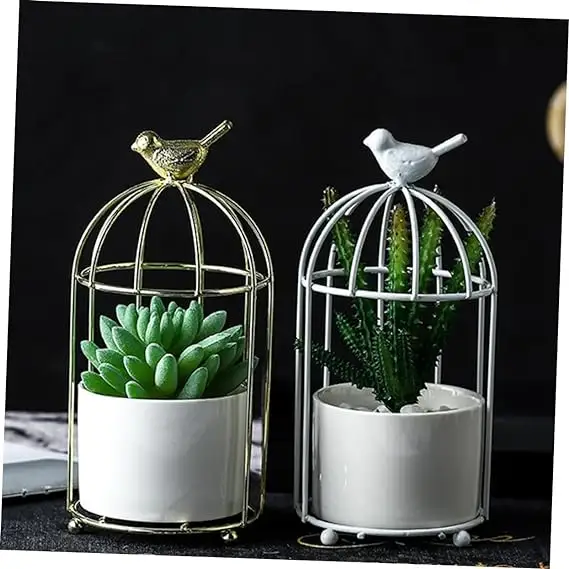 Indoor Decorative Bird Cages Ceramic Succulents Pot Decorative Flower Pot Cactus White Ceramics Decorations