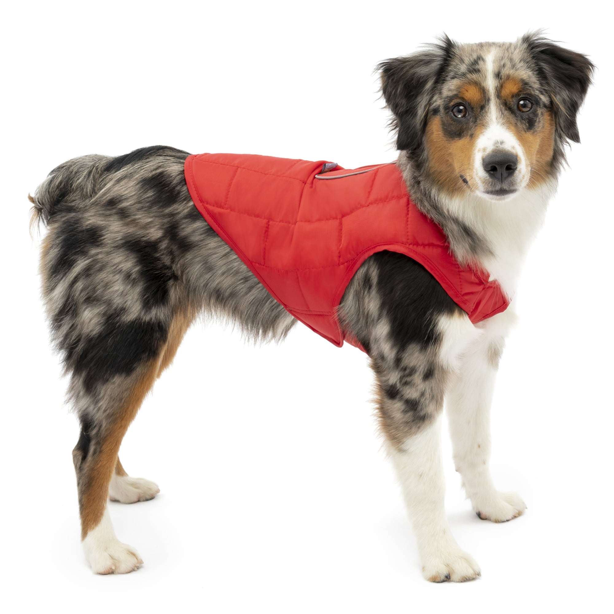 Kurgo Loft Dog Jacket， Reversible Winter Coat for Dogs， Reflective， Wear with Harness， Water Resistant，  For Small Medium Large Pets (Chili Red， S)