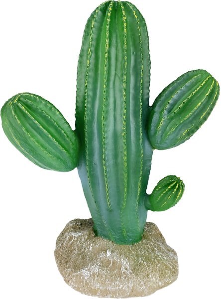 Komodo Cactus Saguaro Reptile Ornament， Green