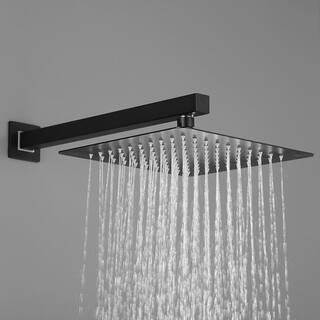 cadeninc 1-Spray Patterns 2.0 GPM 10 in. Showerhead Face Wall Mounted Dual Shower Heads Shower in Matte Black DT-LQTH-001MB