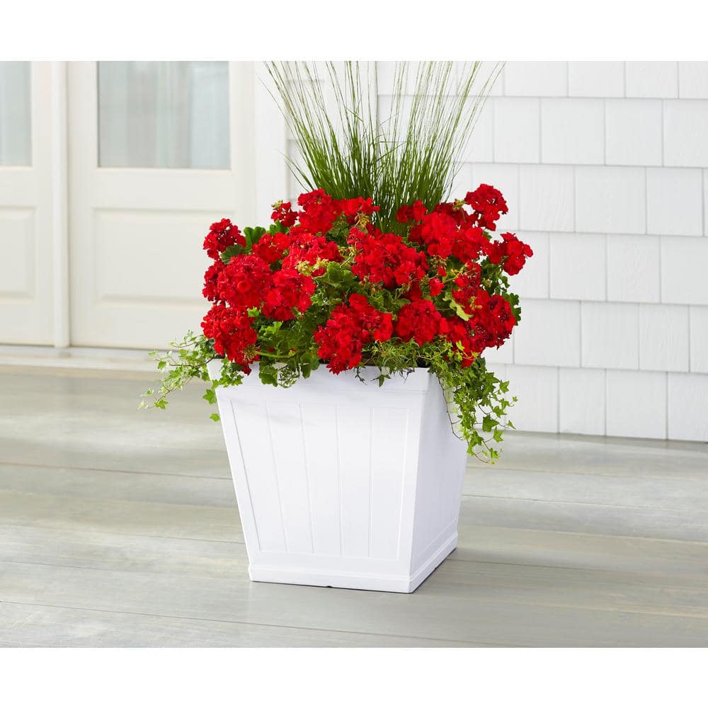 Vigoro 20 in. Eden Large White Resin Square Planter (20 in. L x 20 in. W x 20 in. H) HD1114-089