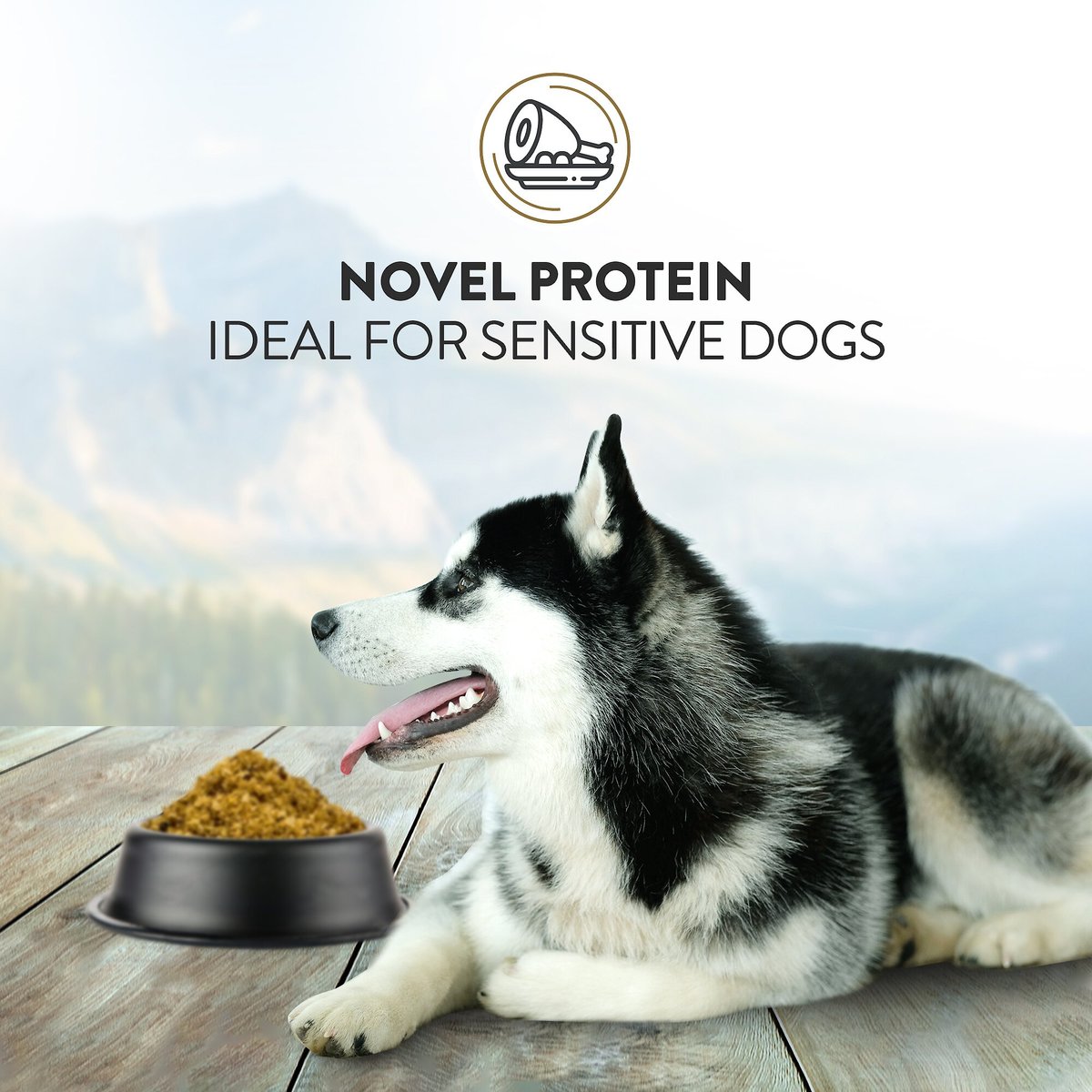 Addiction Perfect Summer Brushtail Raw Dehydrated Dog Food