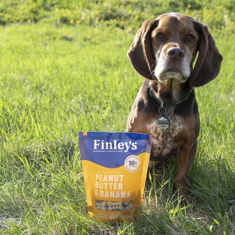 Finley's Barkery Wheat-Free Peanut Butter and Banana Crunchy Biscuit Dog Treats