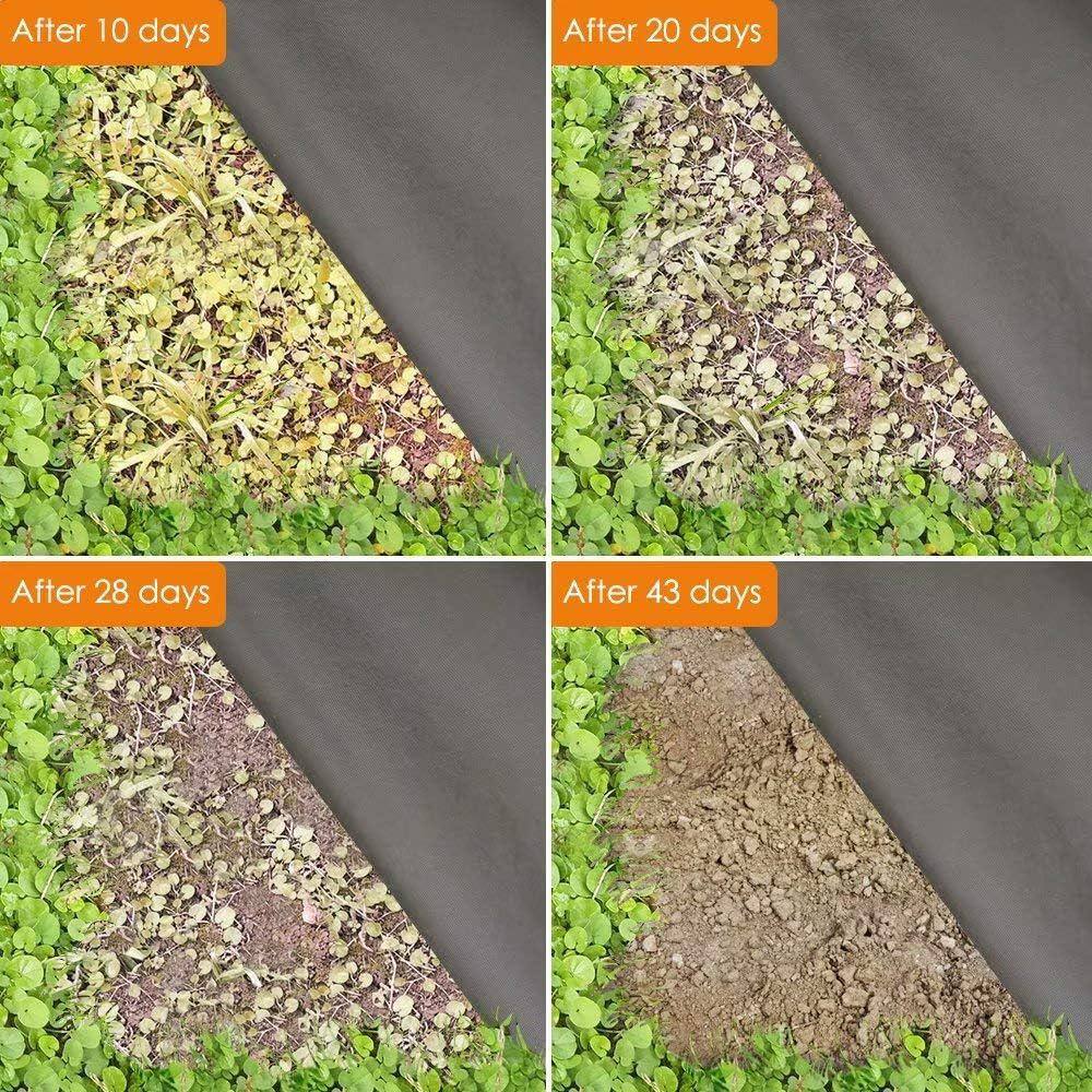 Agfabric 5 ft. x 100 ft. Landscape Fabric Weed Barrier Non-Woven Fabric 2.3 oz. Ground Cover Garden Mats WB235100F