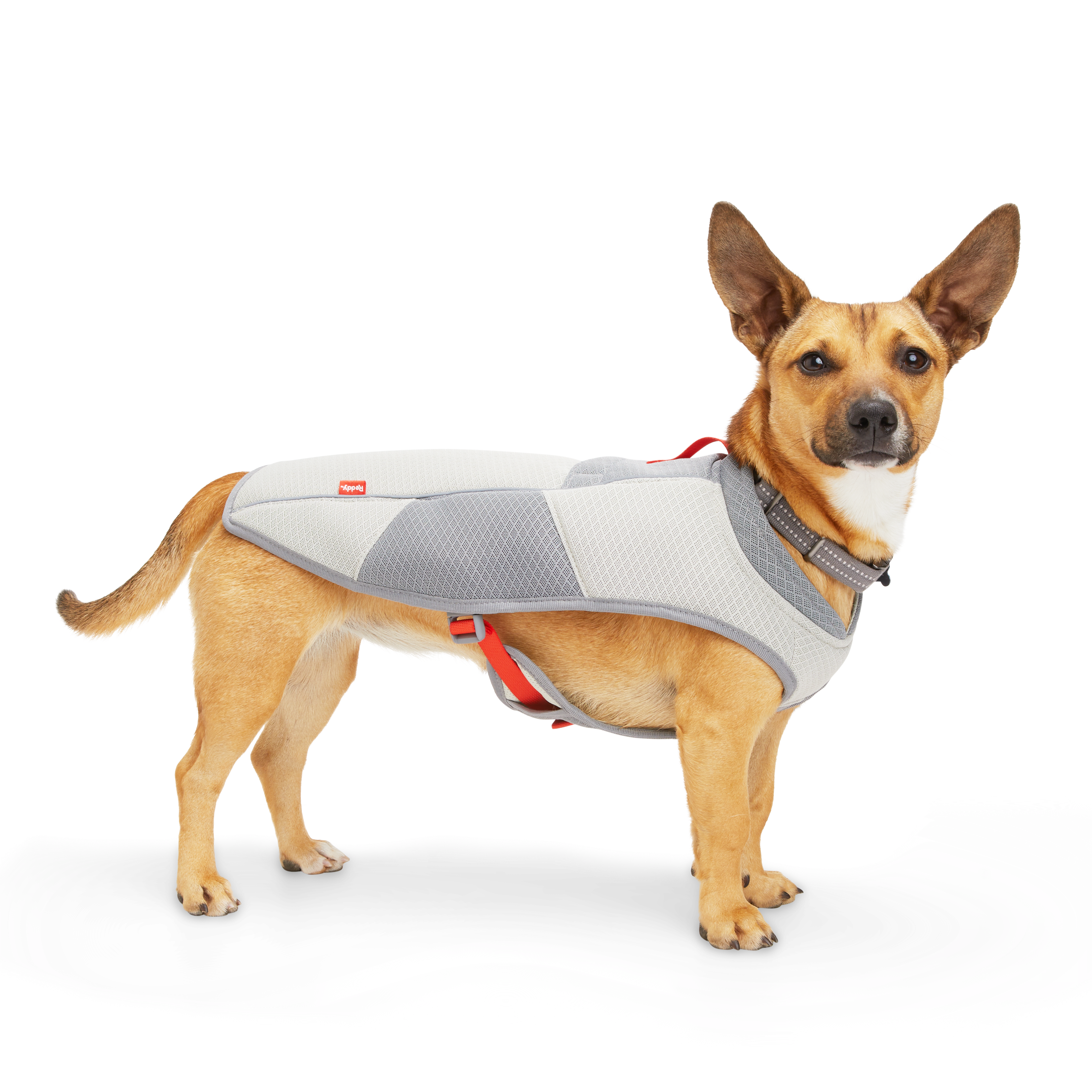 REDDY Grey/Red Cooling Dog Vest， Large