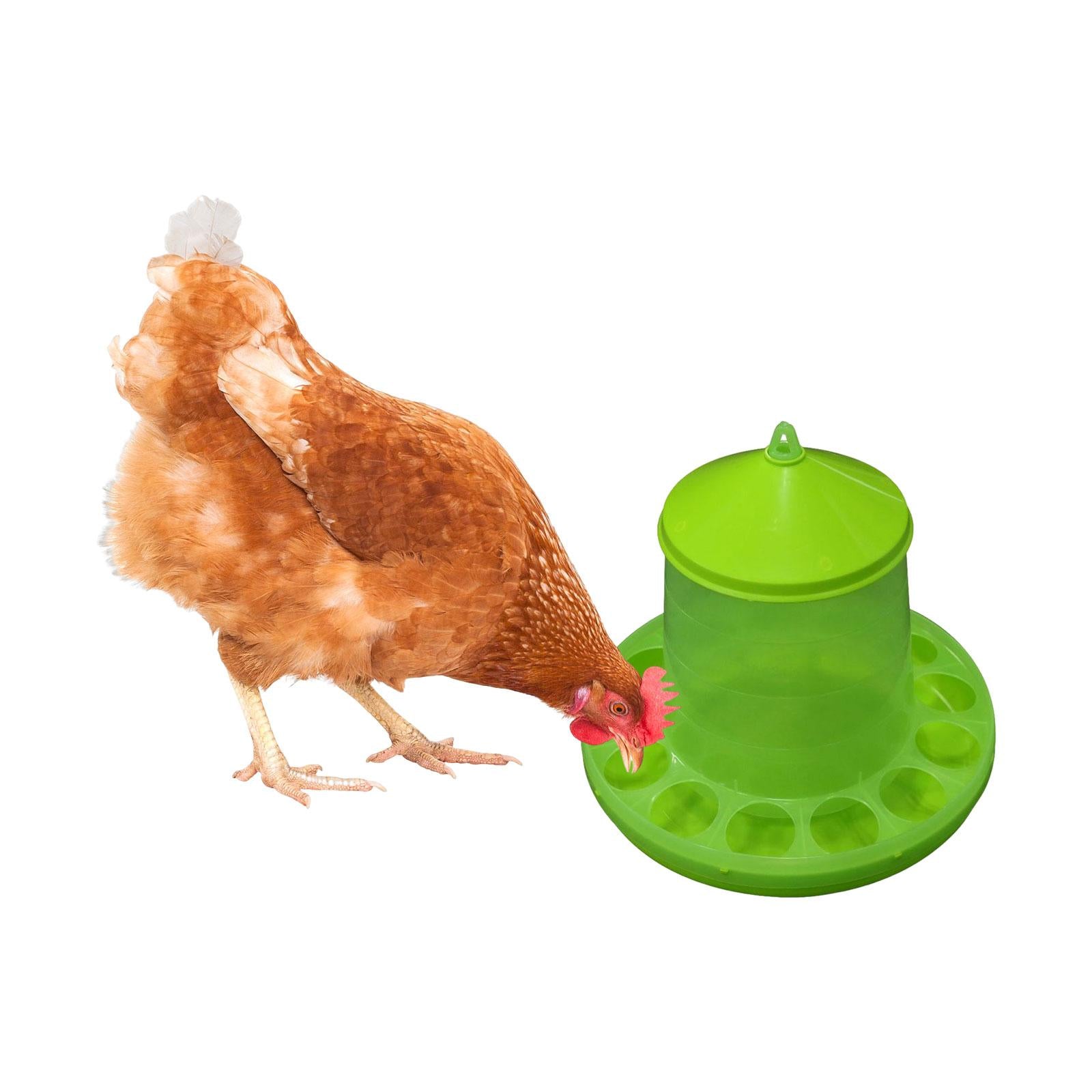 Automatic Poultry Feeder Watering Feeding Container Food Dispenser Barrel Chicken Feeder Waterer for Pigeons Peacocks Geese Chickens Birds 28x24cm No Bracket