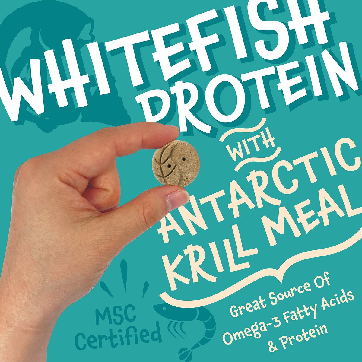 Earthborn Holistic Grain-Free Whitefish Meal Recipe Dog Treats