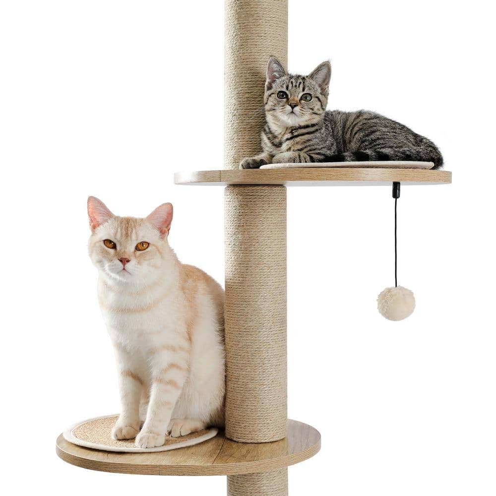 Foobrues 3-in-1 Floor-to-ceiling Cat Tree Wood Stable Furniture PSL-23170659