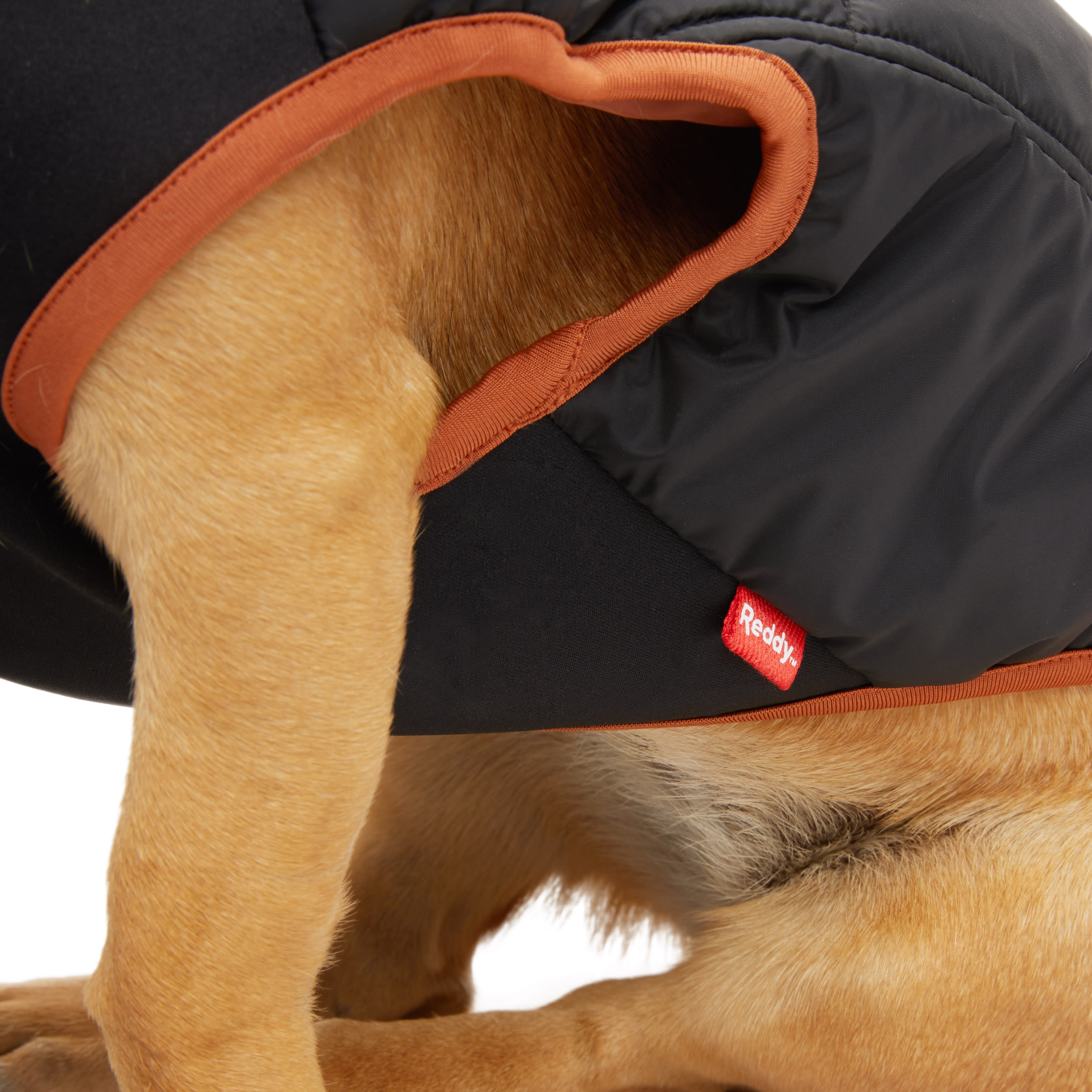 Reddy Black Primaloft Dog Jacket， X-Small