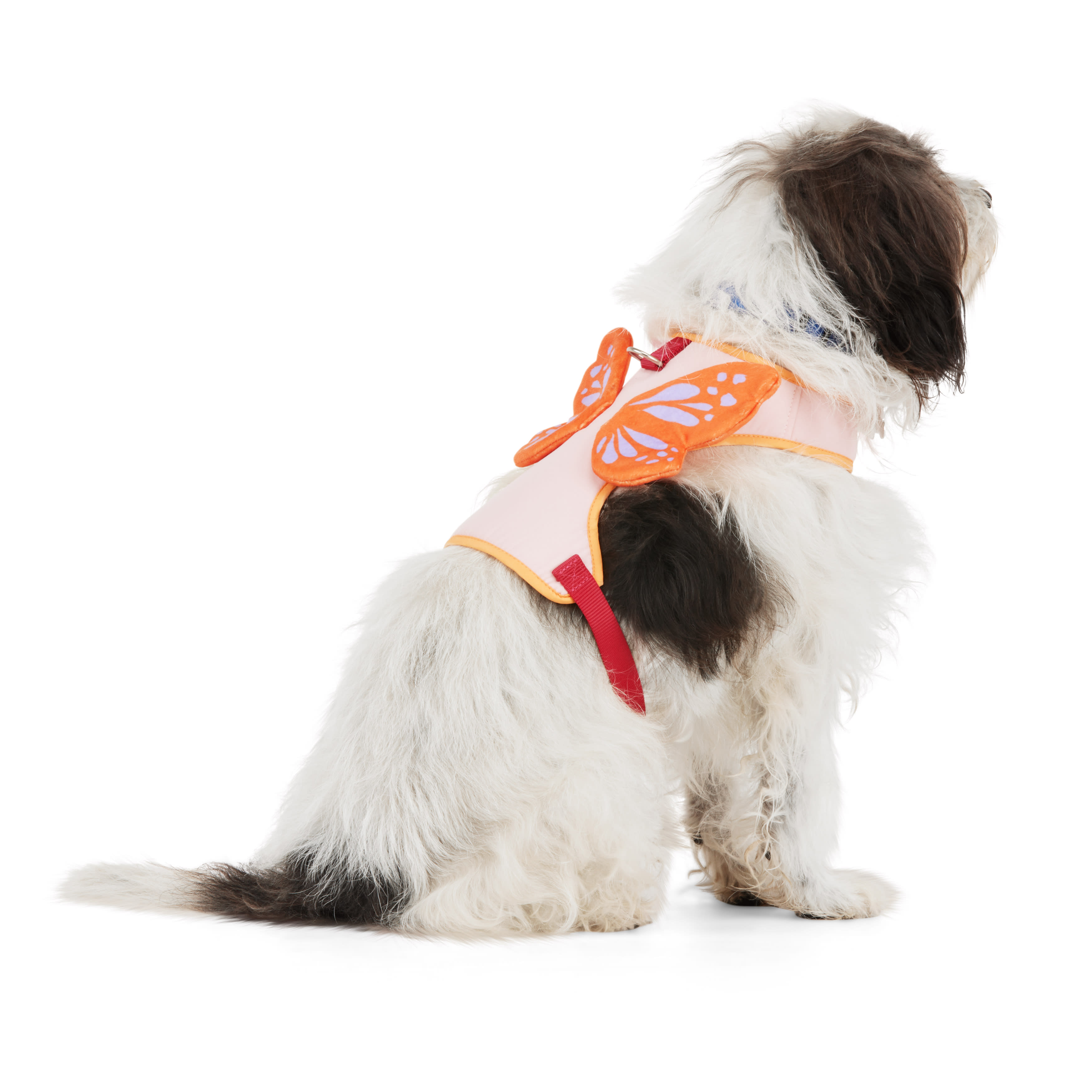 YOULY Butterfly Dog Harness， X-Small