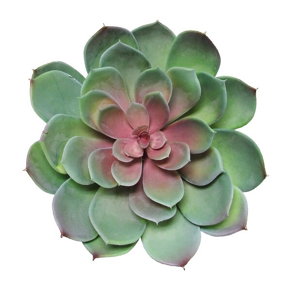 Large Green Red Artificial Lotus Succulent Stem Plant Greenery Pick Spray Branch 8.5in