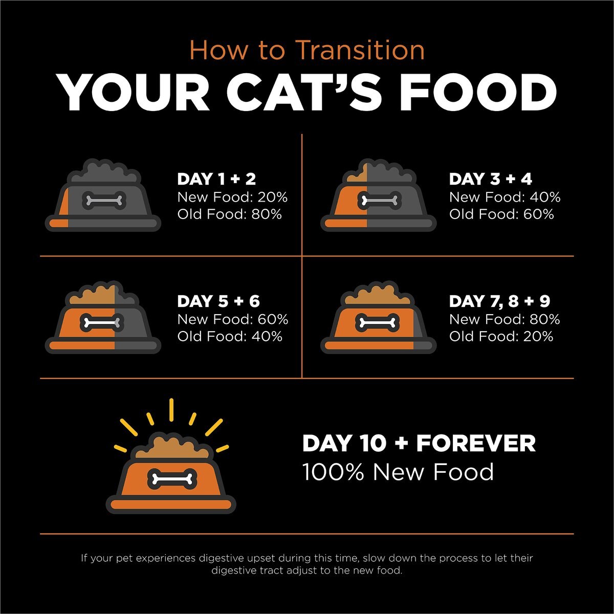 Go! Solutions Skin + Coat Care Grain-Free Salmon Recipe Dry Cat Food