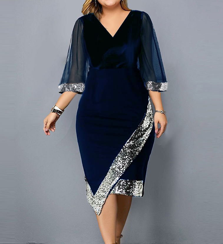 Women's Plus Size Curve A Line Dress