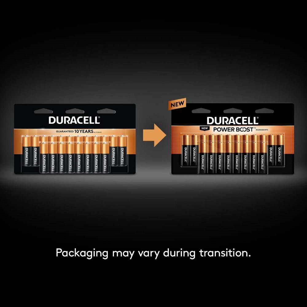 Duracell Coppertop 18-Count AA and 18-Count AAA Alkaline Battery Variety Pack (36 Total Batteries) 004133304019