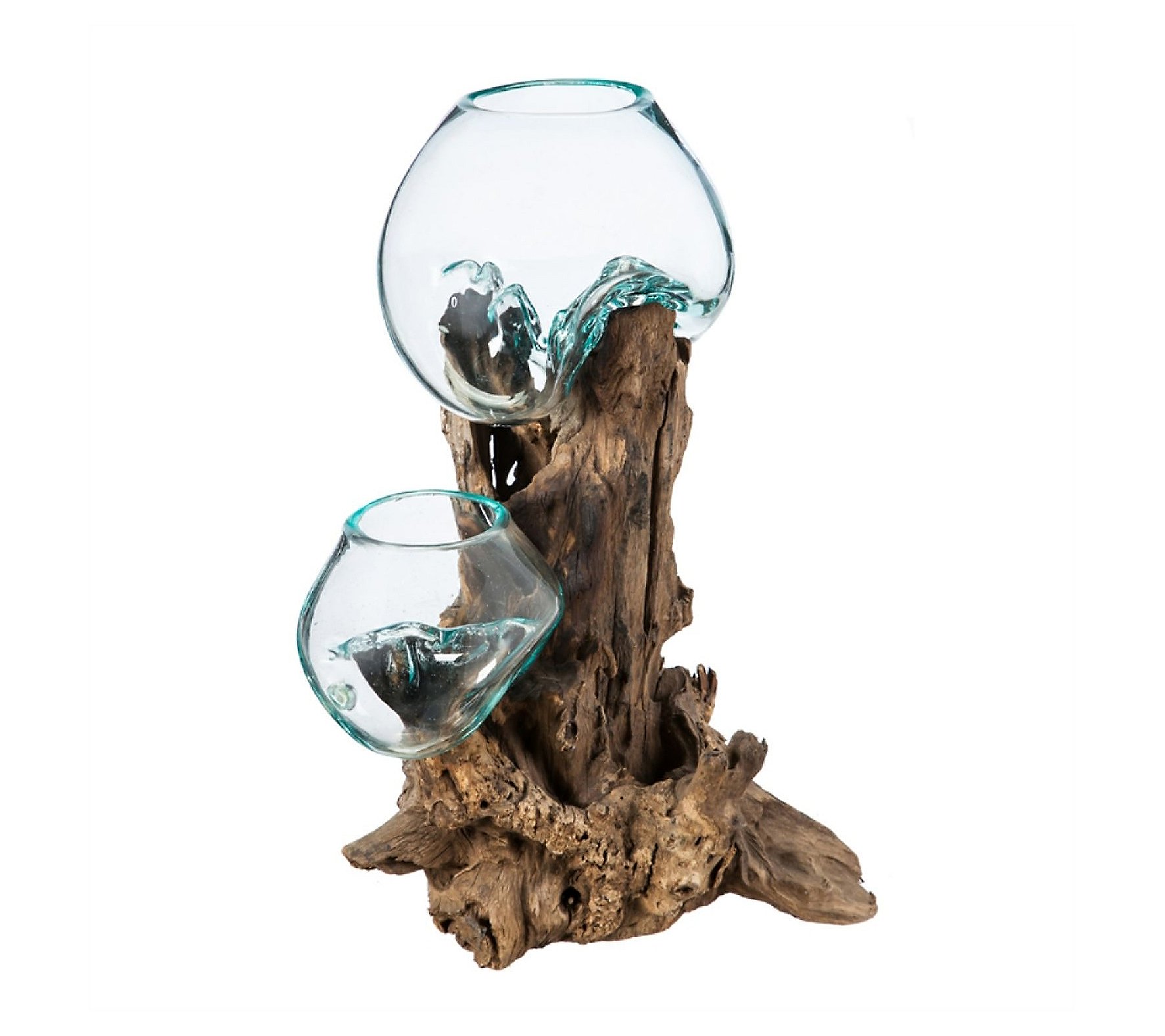 Evergreen Double Glass Planter on Driftwood