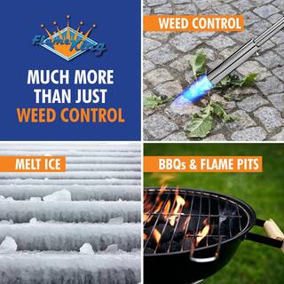 Flame King 24000 BTU Propane Torch Weed Burner Ice Melter Self Lighting PQ810CGA