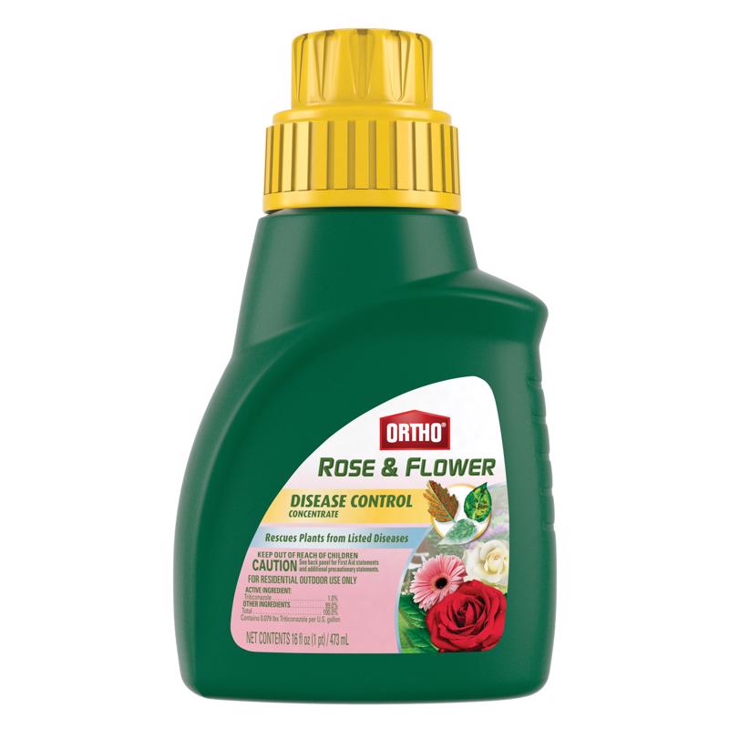 ROSEFLR DIS CTL16OZ CON