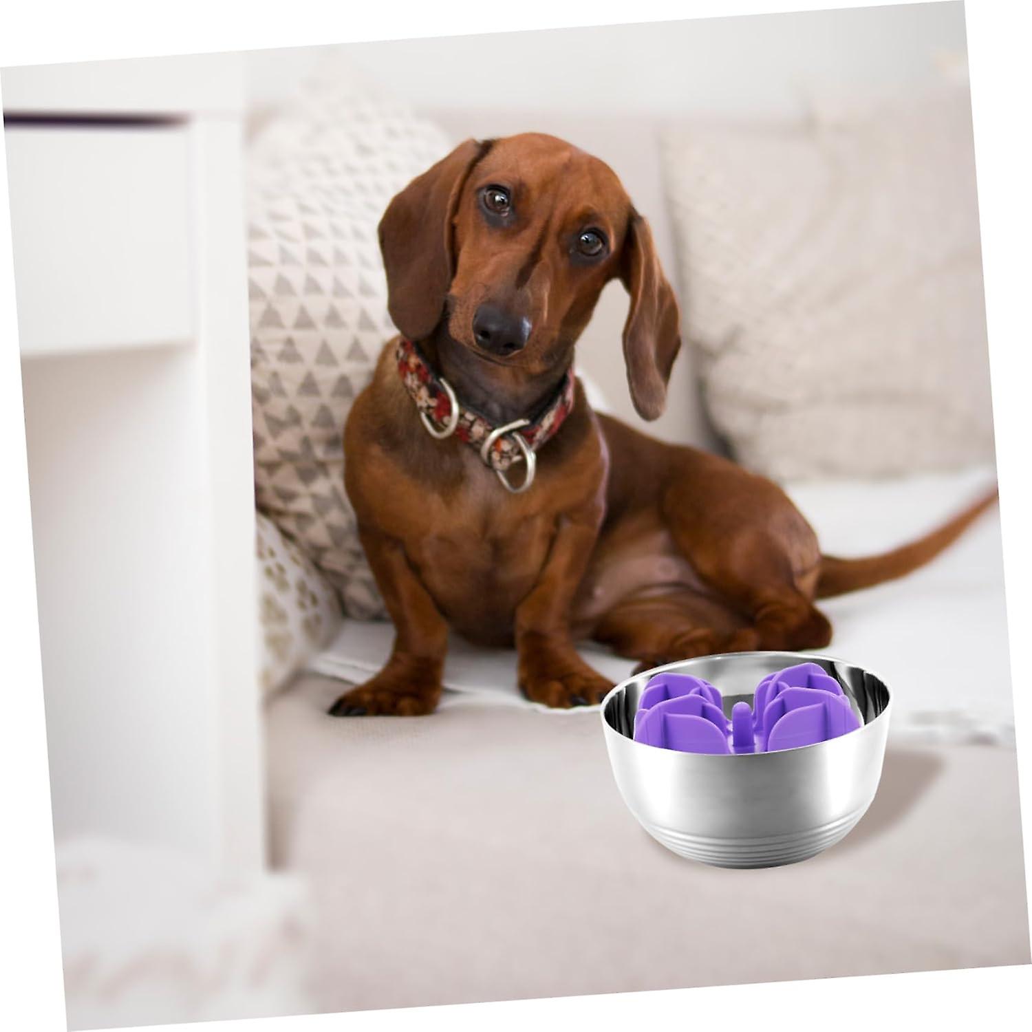 slow feeder slowing dog bowl dog accessories puppy bowls convenient pet food bowl slow feeding bowl