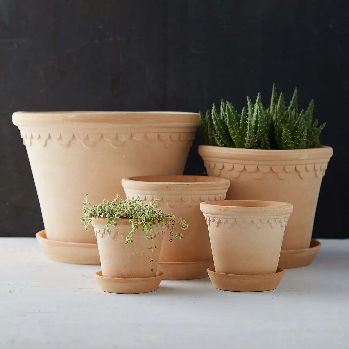 Terracotta pot/ Flowers Planters/ terracotta pots wholesale