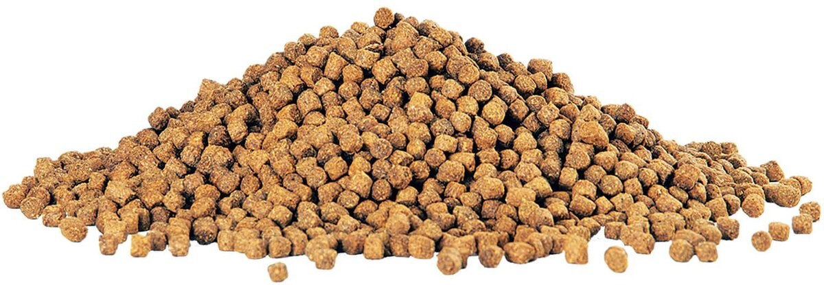 Aqueon Medium Cichlid Pellet Fish Food