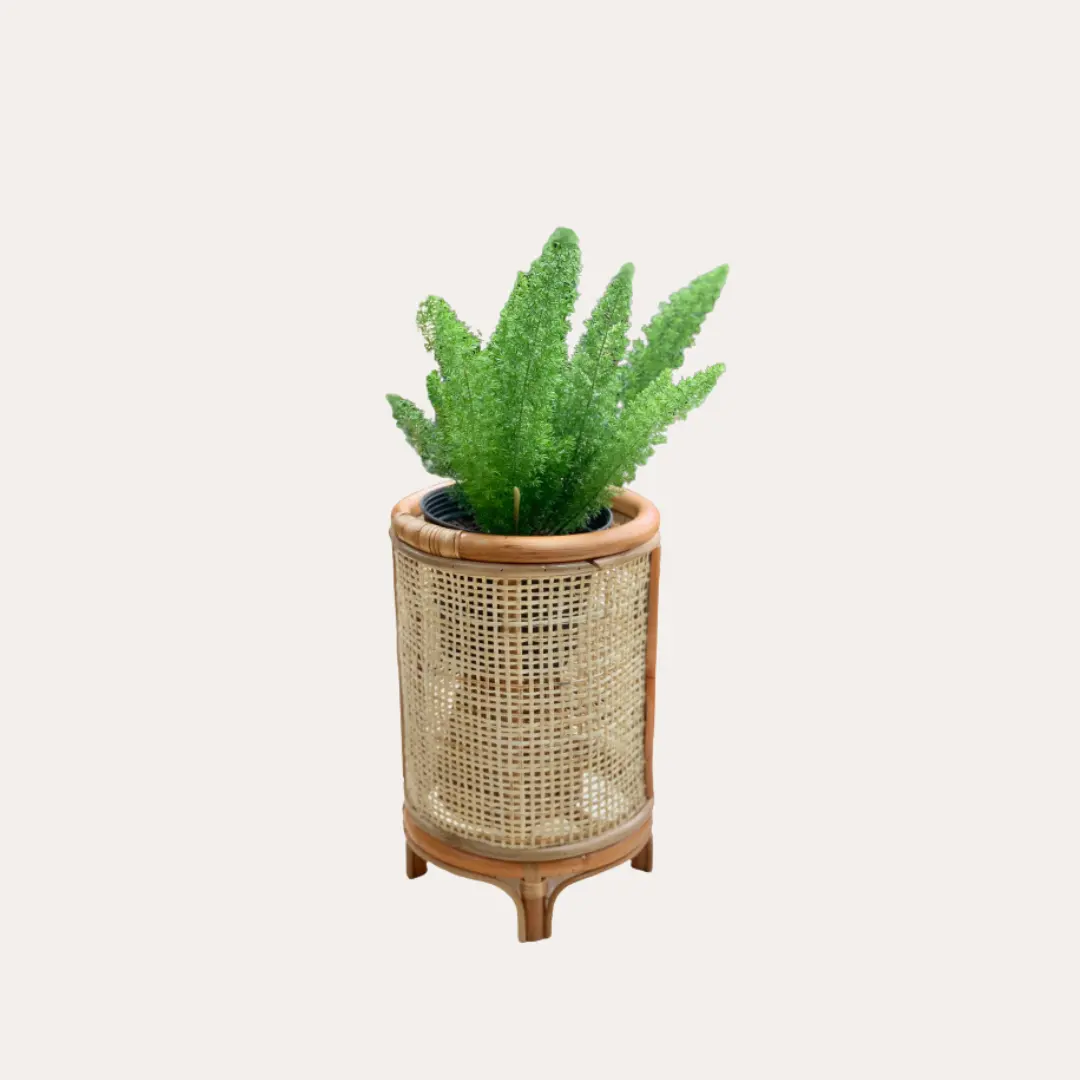 Wholesale New  for 2023 Natural Handmade Eco friendly Rattan Planter for Home garden Garden supplies made in Vietnam