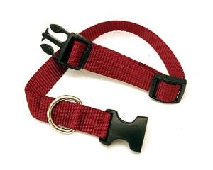 Scott Pet large Adjustable Pet Collar 1428