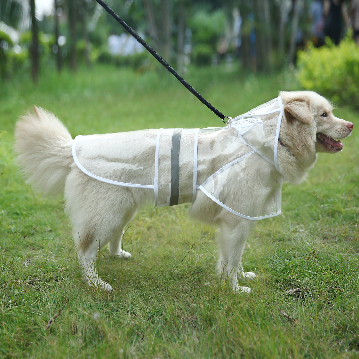 HDE Dog Raincoat Clear Waterproof Rain Jacket with Hood and Reflective Safety Strip for Small to X-Large Dogs and Puppies