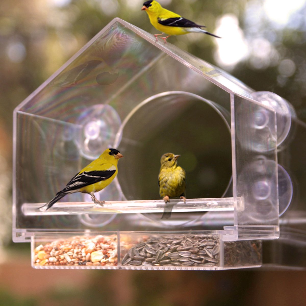 Nature Anywhere Window w/Sliding Seed Holder Bird Feeder