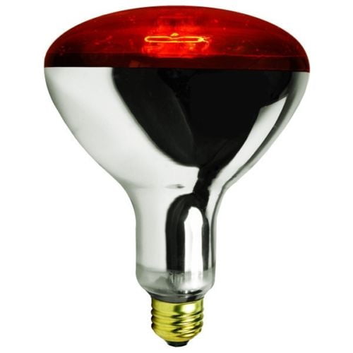 Rite Farm Products 250 Watt Infrared Red Brooder Heat Lamp Light Bulb