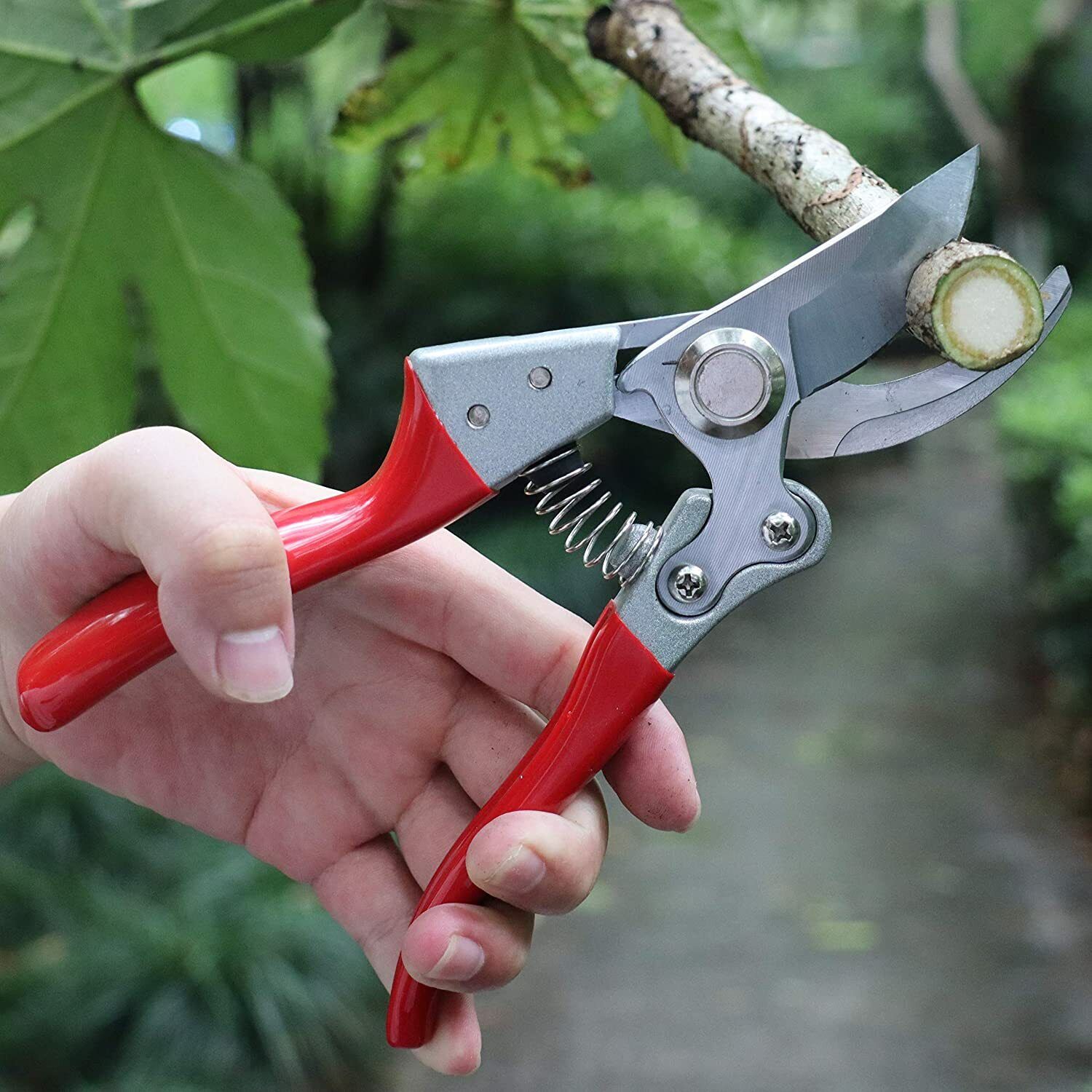 NEW Pruning Shears Cutter Home Gardening Plant Scissor Branch Garden Pruner