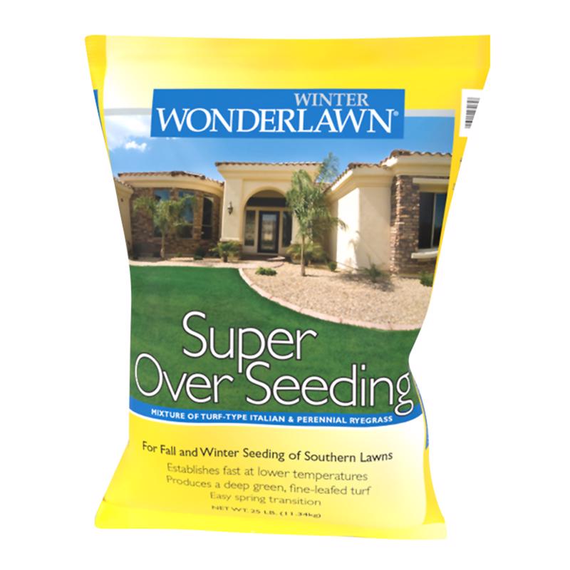 WINTER WNDRLAWN SEED25#