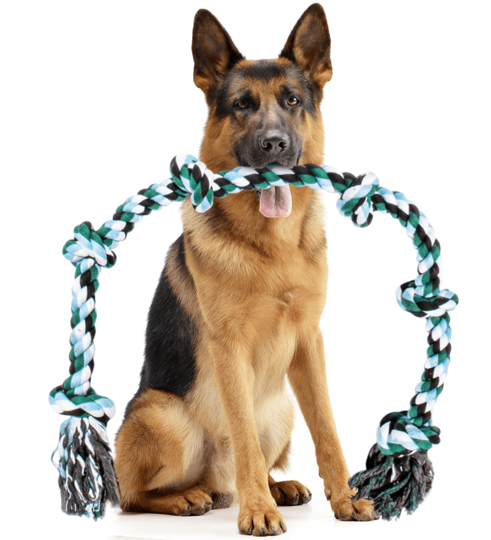 Pacific Pups Products Dog Rope Toy for Extra Large Dogs， XXL