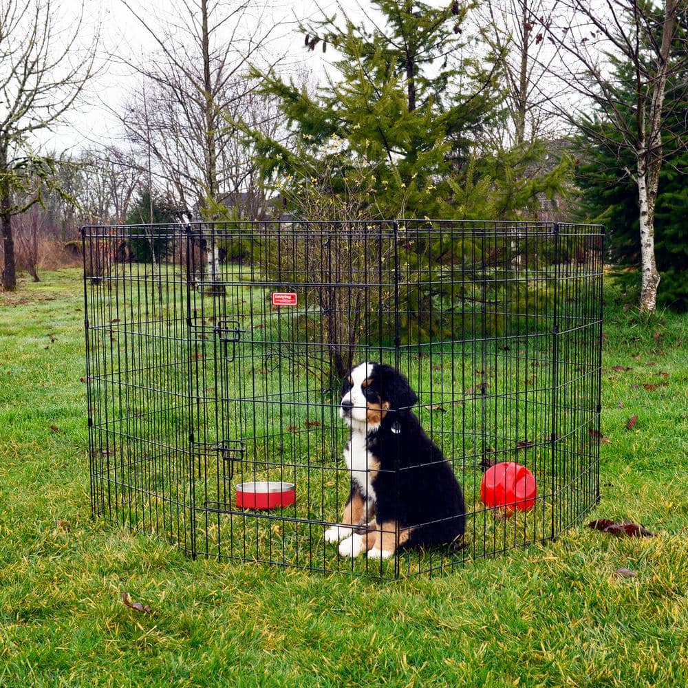 Lucky Dog 36 in. High Heavy Duty Dog Exercise Pen with Stakes ZW 11636