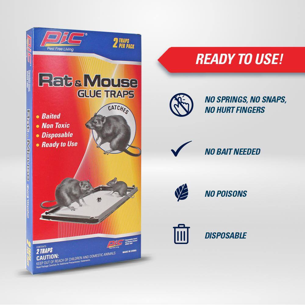 PIC Baited Rat and Mice Glue Traps (24-Pack) GT-2-H