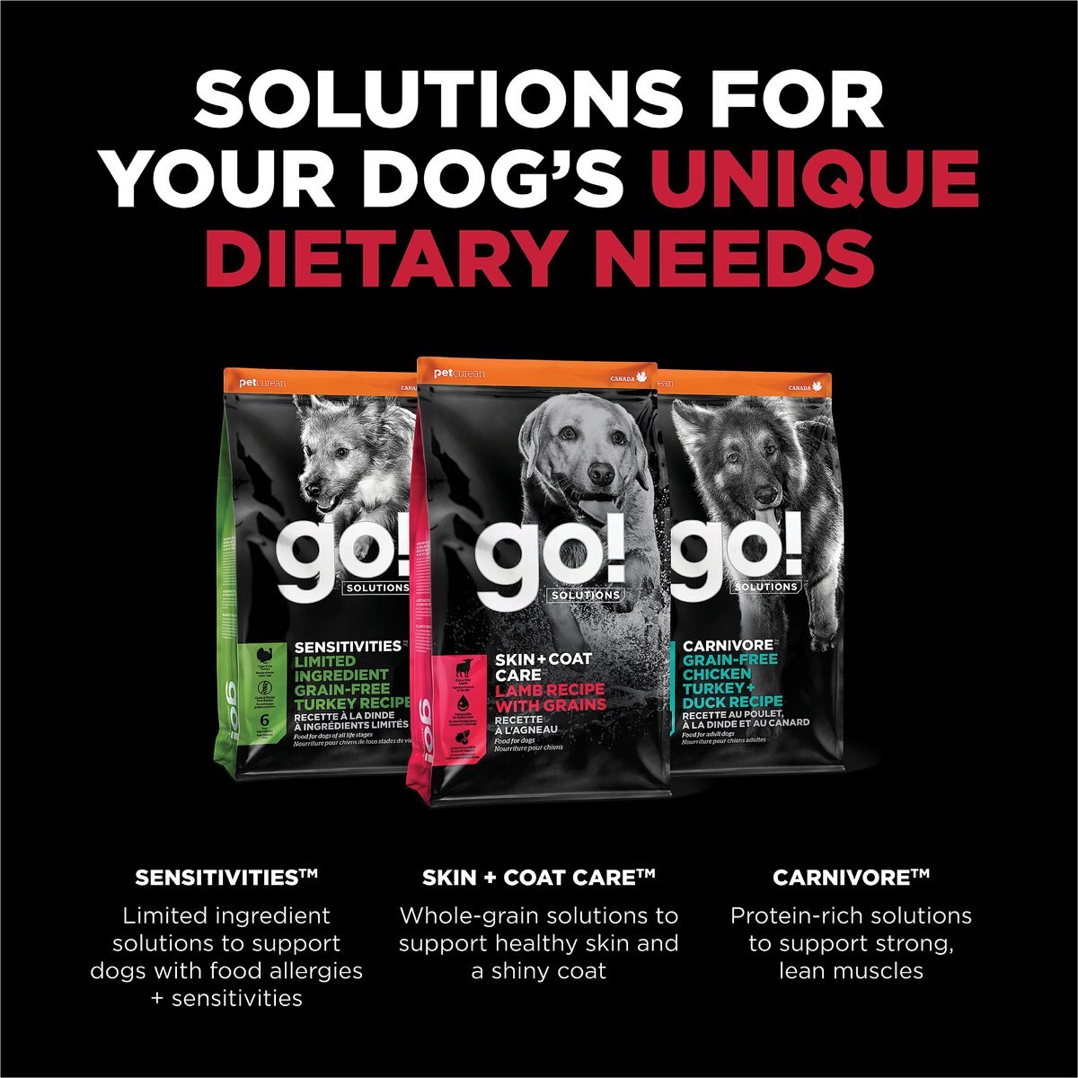 Go! Solutions Skin + Coat Care Lamb Meal Recipe Dry Dog Food