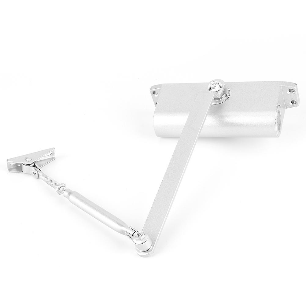 Modern Automatic Adjustable Hydraulic Buffer Fire Door Closer Positioning Doors Controllerm 65kg