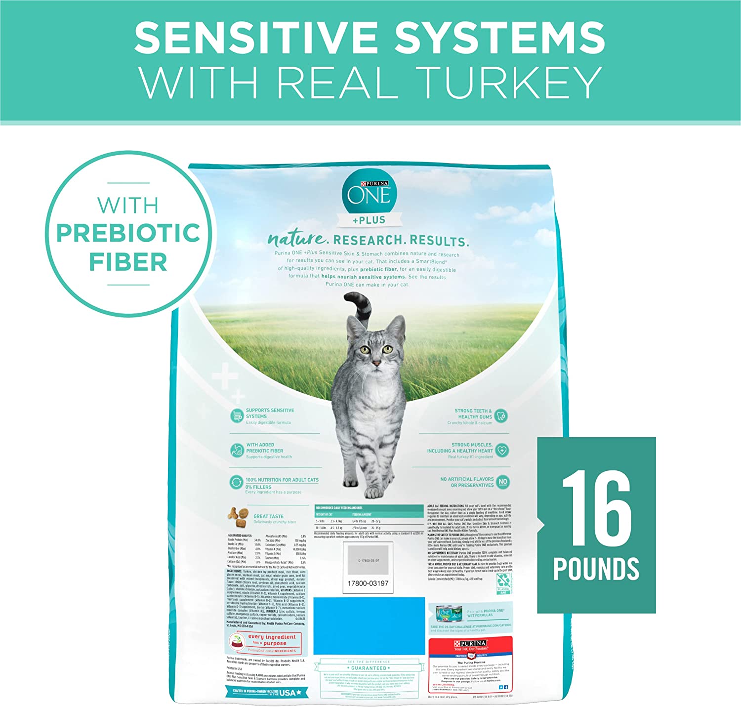 Purina ONE Sensitive Skin and Stomach With Real Turkey， Natural Adult Dry Cat Food 16 lb. bag