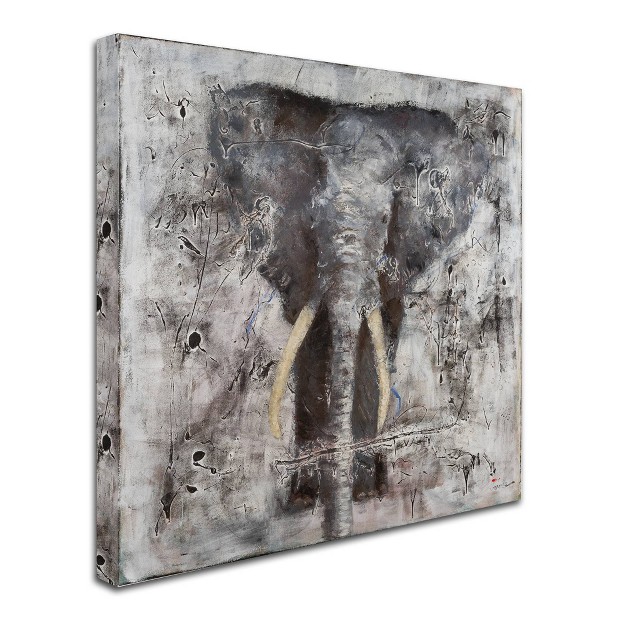 X 24 quot Joarez x27 wild Life x27 Canvas Art