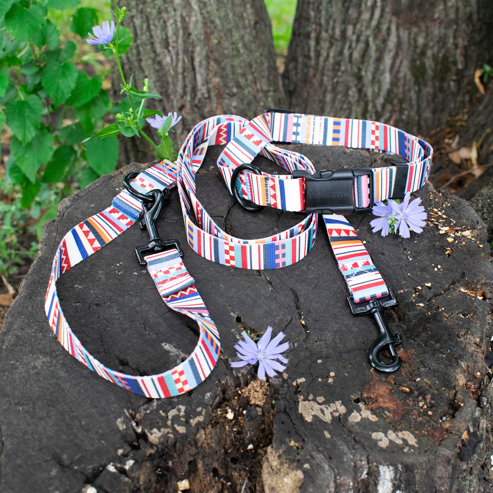 Pendleton Classics Adventure Collar | Tamiami